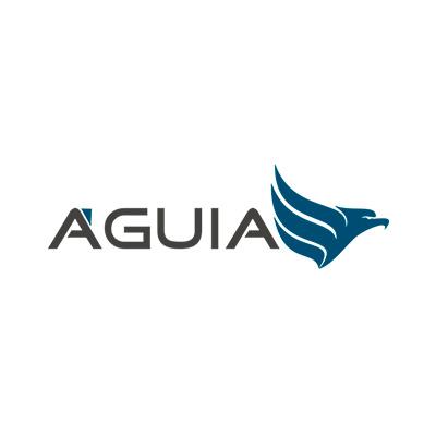 Logo Aguia criada pela TTG Sistemas